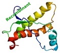 recombinant list